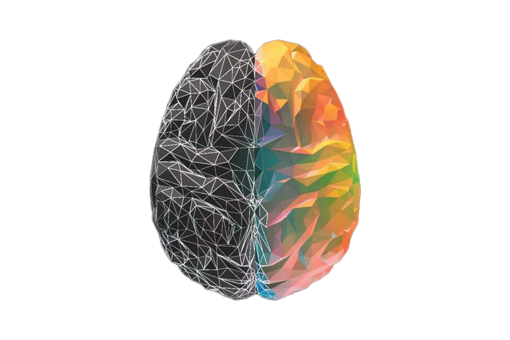 Brain Final